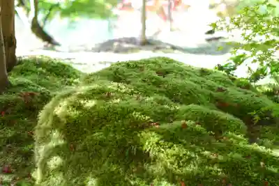 禅林寺(永観堂)(京都府)