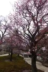 北野天満宮の庭園