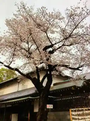 妙法寺(東京都)