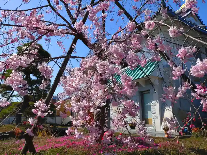 寿量山 速成寺の自然