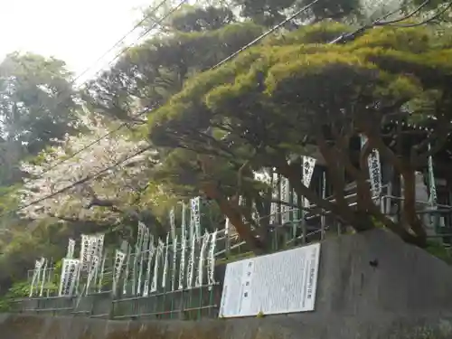 星井寺（ 明鏡山円満院星井寺虚空蔵堂 ）の景色