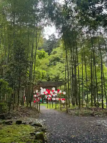 柳津虚空蔵尊 寳性院の{uncategorized: "未分類", other: "その他", undefined: "問題あり", building: "その他建物", grave: "お墓", sacred_gate: "鳥居", guardian: "狛犬", statue: "像", buddha: "仏像", history: "歴史", nature: "自然", garden: "庭園", animal: "動物", pagoda: "塔", temizu: "手水舎", mountain_gate: "山門・神門", sanctuary: "本殿・本堂", subordinate: "末社・摂社", art: "芸術", scenery: "景色", jizo: "地蔵", ema: "絵馬", goshuin: "御朱印", omikuji: "おみくじ", items: "授与品その他", amulet: "お守り", goshuincho: "御朱印帳", eats: "食事", festival: "お祭り", votive_dance: "神楽", shichigosan: "七五三参", wedding: "結婚式", experience: "体験その他", initially: "初詣", around: "周辺", anti_infection: "感染症対策"}