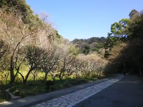 瑞泉寺の庭園