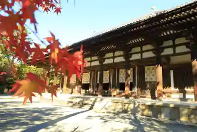 唐招提寺(奈良県)