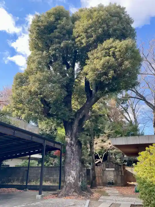 安養寺(東京都)