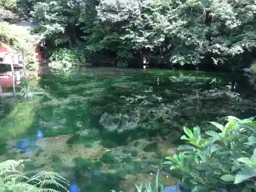 富士山本宮浅間大社の庭園