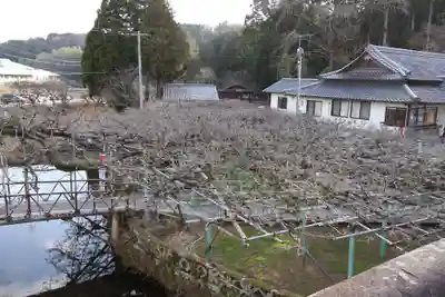 西寒多神社(大分県)