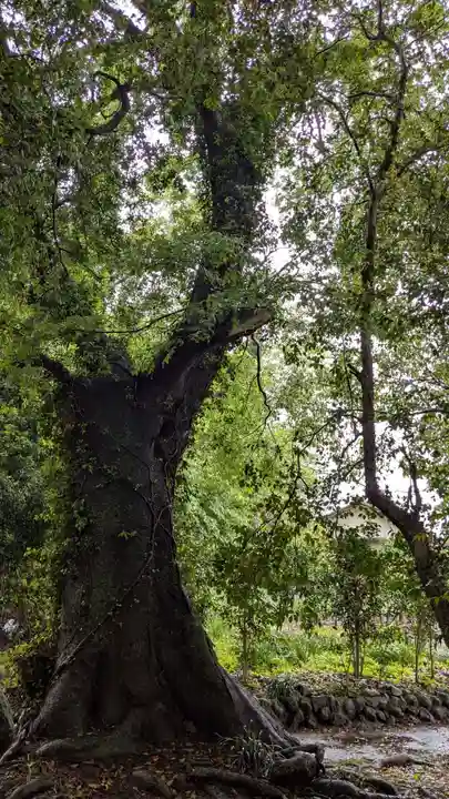 荒魂神社(香川県)