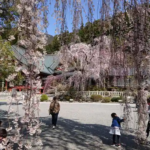 久遠寺(山梨県)