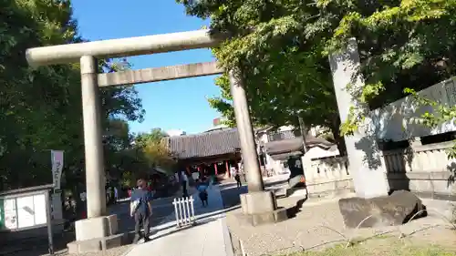 浅草神社の鳥居