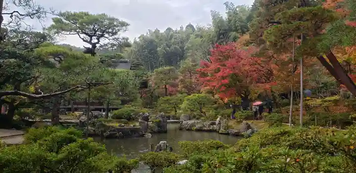 慈照寺(慈照禅寺・銀閣寺)の庭園