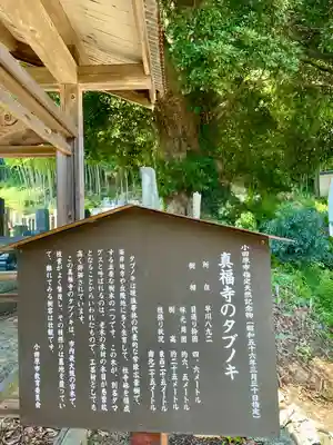 真福寺(神奈川県)