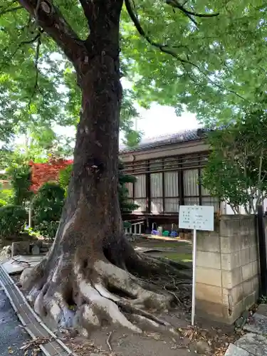 千方神社の自然