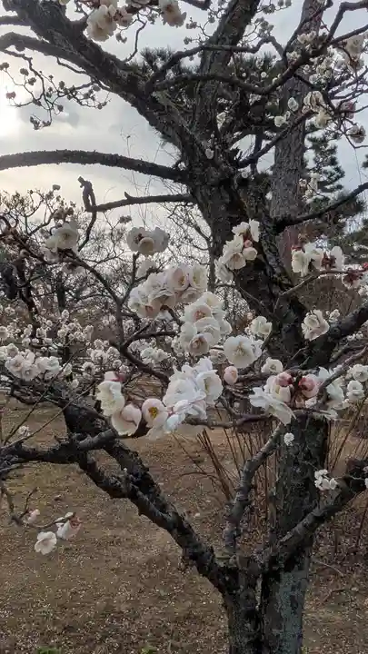 智積院(京都府)