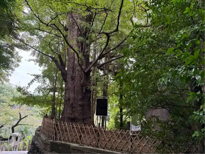 王子神社(東京都)