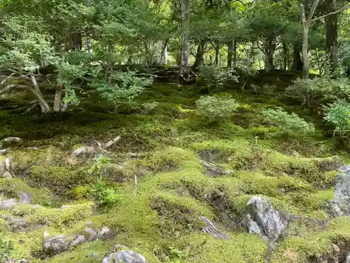 慈照寺（慈照禅寺・銀閣寺）(京都府)