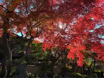 法観寺(京都府)