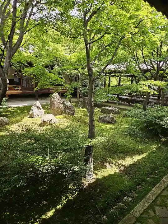 建仁寺(建仁禅寺)(京都府)