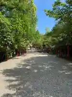 市原稲荷神社の{uncategorized: "未分類", other: "その他", undefined: "問題あり", building: "その他建物", grave: "お墓", sacred_gate: "鳥居", guardian: "狛犬", statue: "像", buddha: "仏像", history: "歴史", nature: "自然", garden: "庭園", animal: "動物", pagoda: "塔", temizu: "手水舎", mountain_gate: "山門・神門", sanctuary: "本殿・本堂", subordinate: "末社・摂社", art: "芸術", scenery: "景色", jizo: "地蔵", ema: "絵馬", goshuin: "御朱印", omikuji: "おみくじ", items: "授与品その他", amulet: "お守り", goshuincho: "御朱印帳", eats: "食事", festival: "お祭り", votive_dance: "神楽", shichigosan: "七五三参", wedding: "結婚式", experience: "体験その他", initially: "初詣", around: "周辺", anti_infection: "感染症対策"}