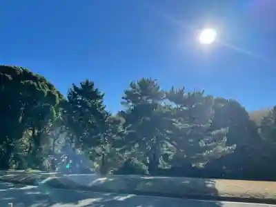 明治神宮(東京都)