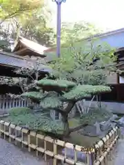 住吉神社(山口県)