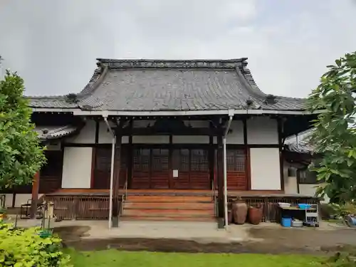 善教寺の本殿・本堂