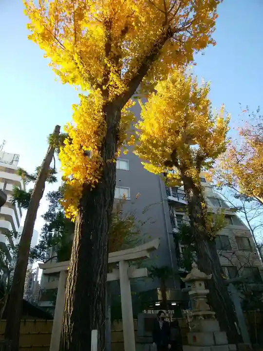 高円寺氷川神社のその他建物