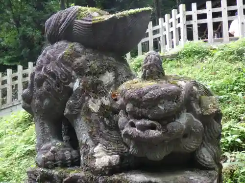 戸隠神社奥社の狛犬