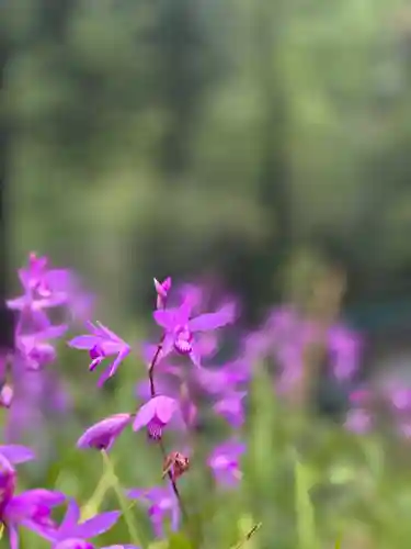 皷楽神社(山梨県)