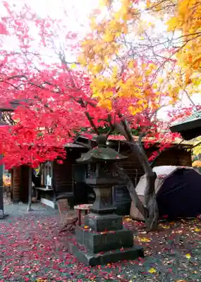 彌彦神社 (伊夜日子神社)のその他建物