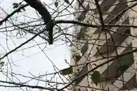 くまくま神社(導きの社 熊野町熊野神社)(東京都)