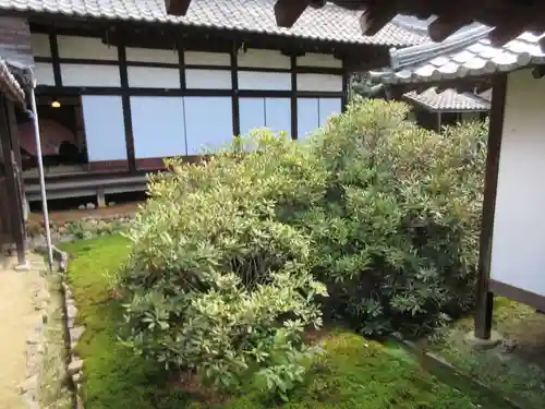 隨心院（随心院）のその他建物