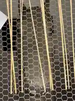 京都ゑびす神社(京都府)