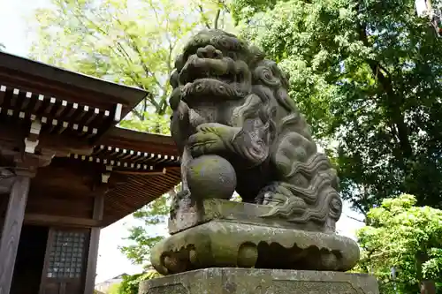 熊野福藏神社の狛犬