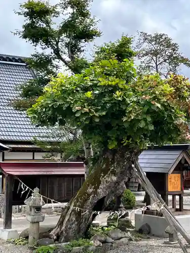 田出宇賀神社のその他建物