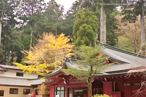 箱根神社(神奈川県)