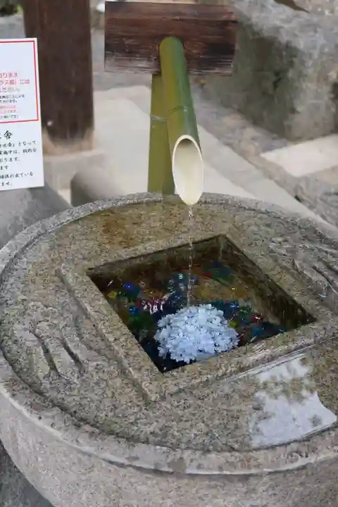 岡寺(龍蓋寺)(奈良県)