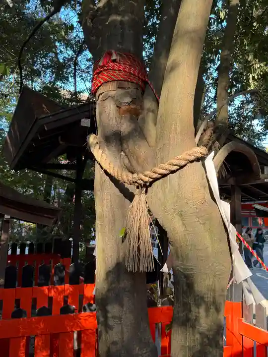 賀茂御祖神社(下鴨神社)(京都府)