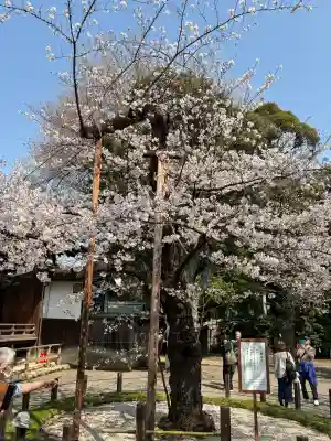靖國神社(東京都)