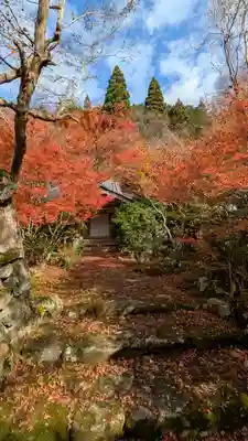 桂徳院(京都府)
