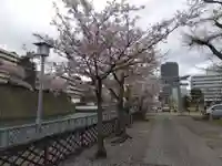 福井神社(福井県)