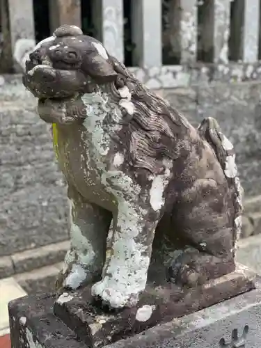 伊古奈比咩命神社の狛犬