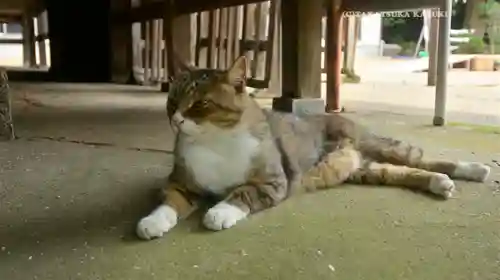 鎌数伊勢大神宮(千葉県)