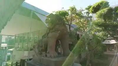 鳩森八幡神社の狛犬