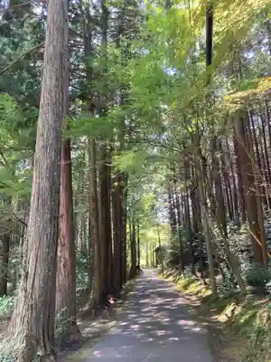 臨済寺のその他建物