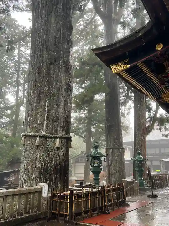 三峯神社(埼玉県)