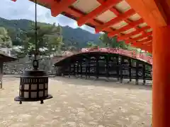 厳島神社(広島県)