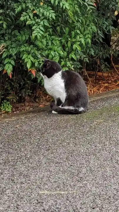 白金氷川神社(東京都)