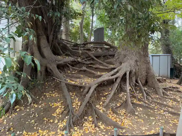 八坂神社(千葉県)