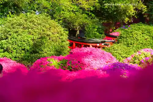 根津神社(東京都)